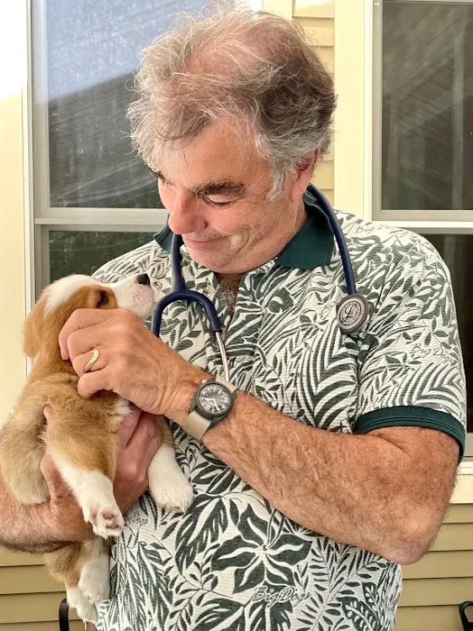 Stowe Veterinary Clinic Picture 9