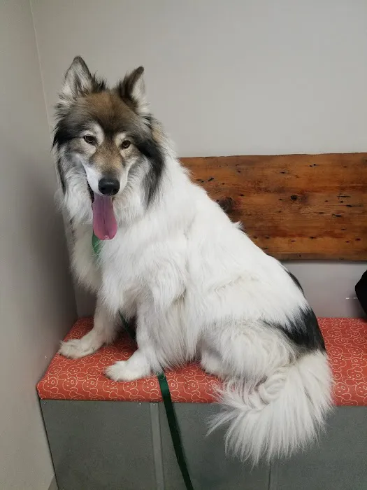 Essex Veterinary Center Picture 9
