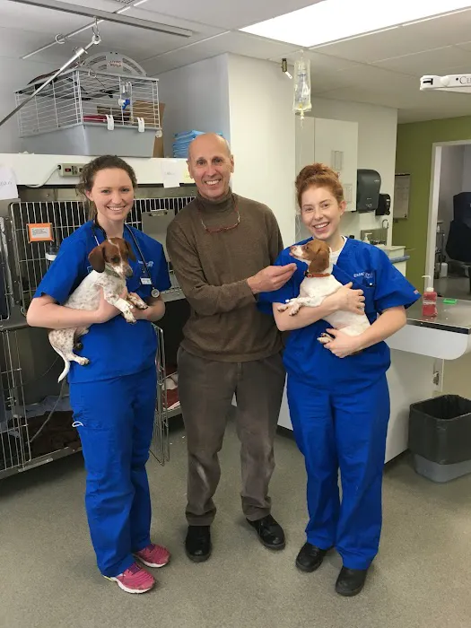 Essex Veterinary Center Picture 10