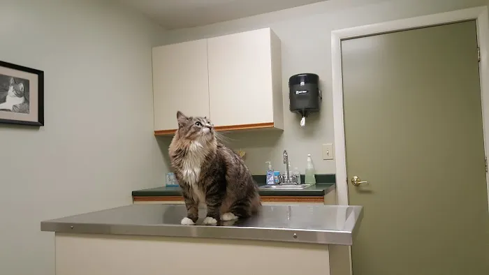 River Cove Animal Hospital Picture 6
