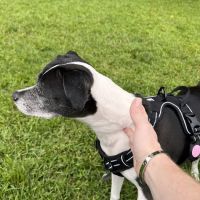 Hardwick Veterinary Clinic ico