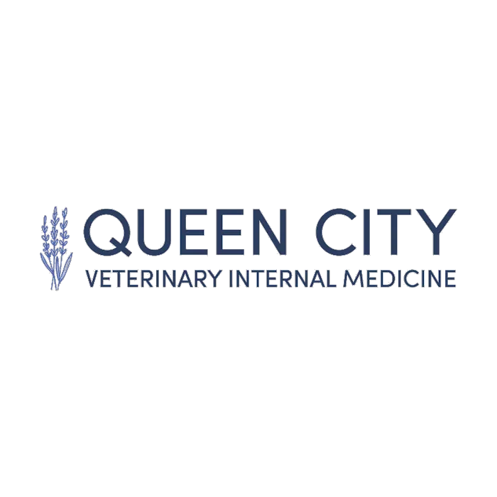 Queen City Veterinary Internal Medicine Picture 4