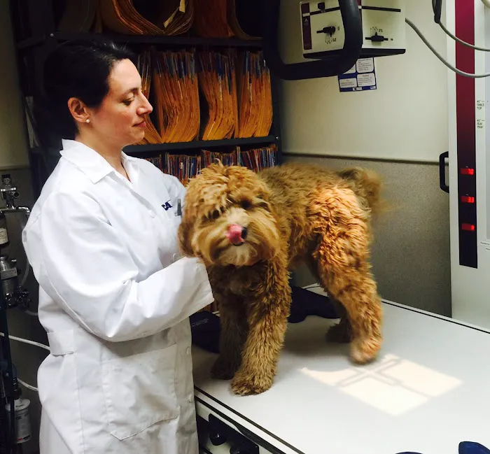 VCA Brown Animal Hospital Picture 5