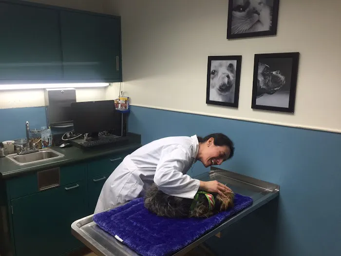 VCA Brown Animal Hospital Picture 3