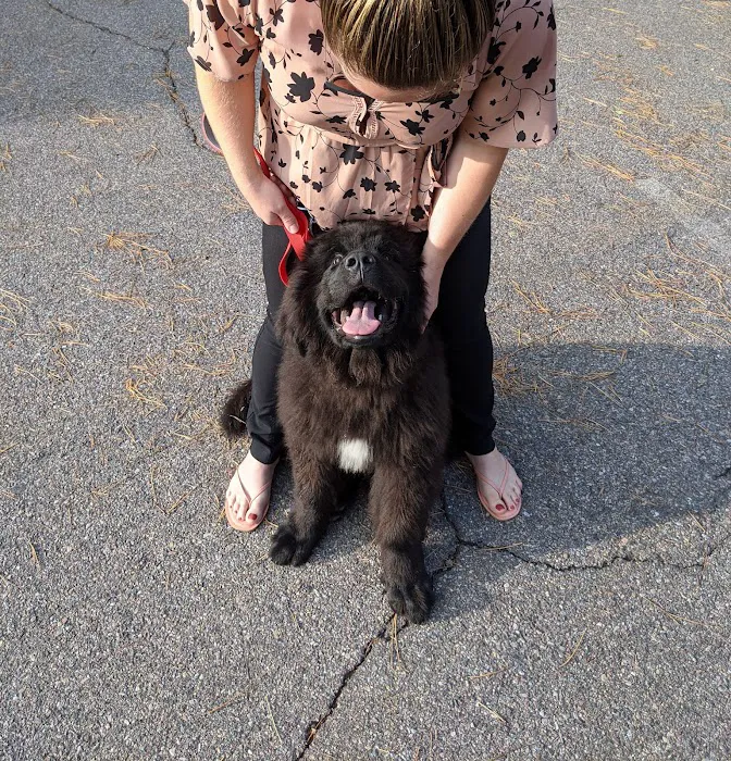 VCA Brown Animal Hospital Picture 8