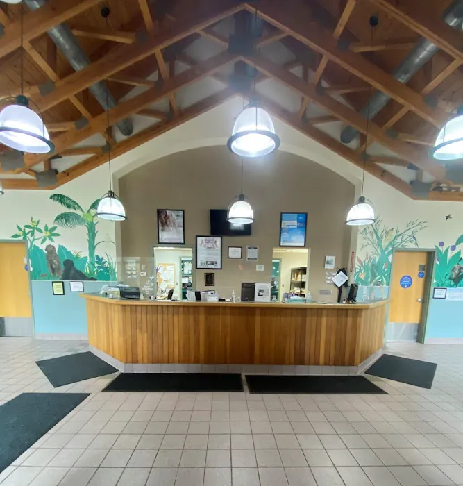 VCA Brown Animal Hospital Picture 4