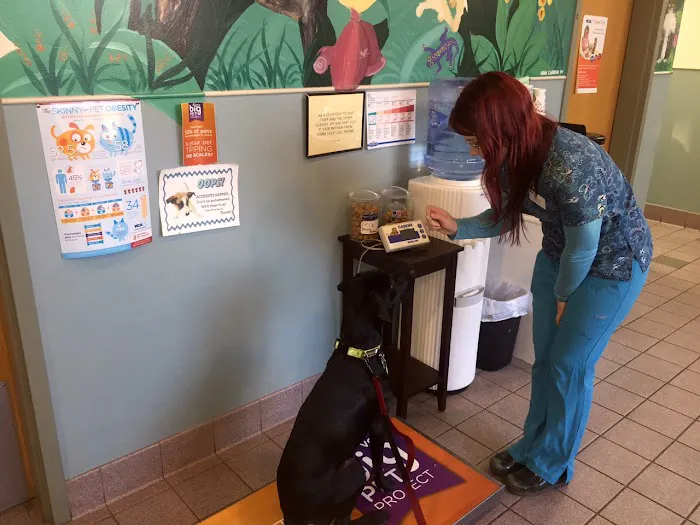VCA Brown Animal Hospital Picture 9