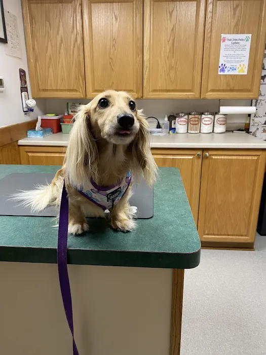 Green Mountain Animal Hospital Picture 4