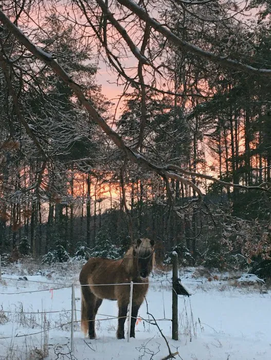 Saranac Veterinary Clinic Picture 3