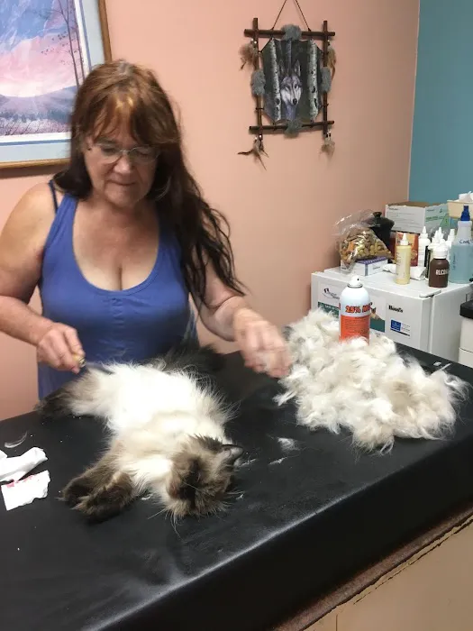 Saranac Veterinary Clinic Picture 9