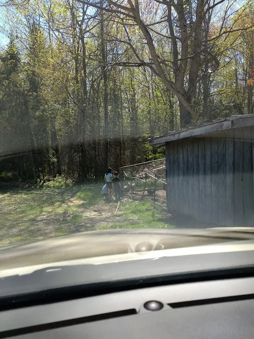 Saranac Veterinary Clinic Picture 8