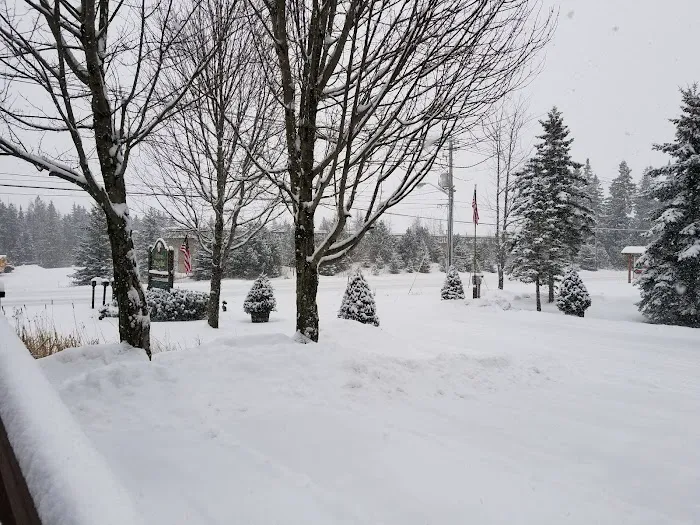 Lake Placid Animal Hospital Picture 2
