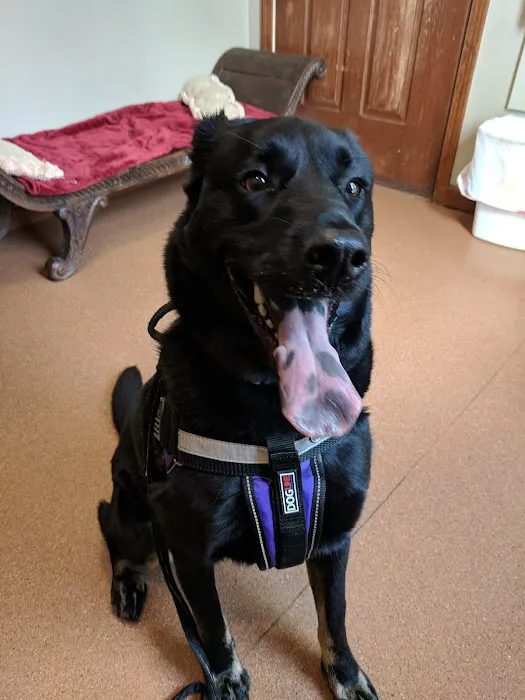 Lake Placid Animal Hospital Picture 3