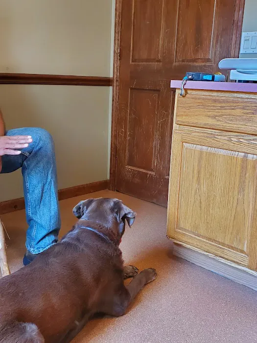 Lake Placid Animal Hospital Picture 1