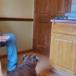Lake Placid Animal Hospital