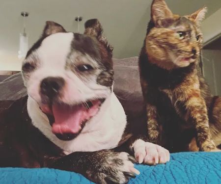 Mountain View Animal Hospital: Leavey Patrick DVM