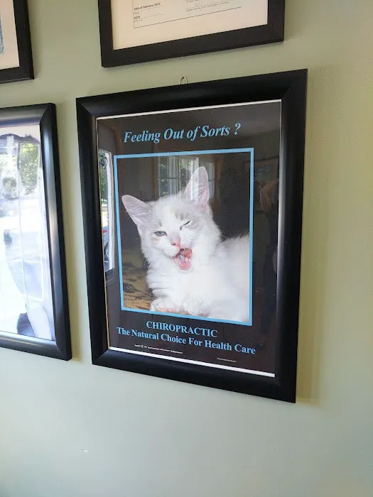 Mountain View Animal Hospital Picture 4