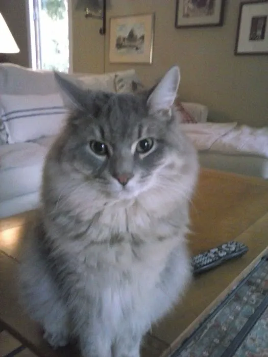 Alton Veterinary Clinic Picture 7