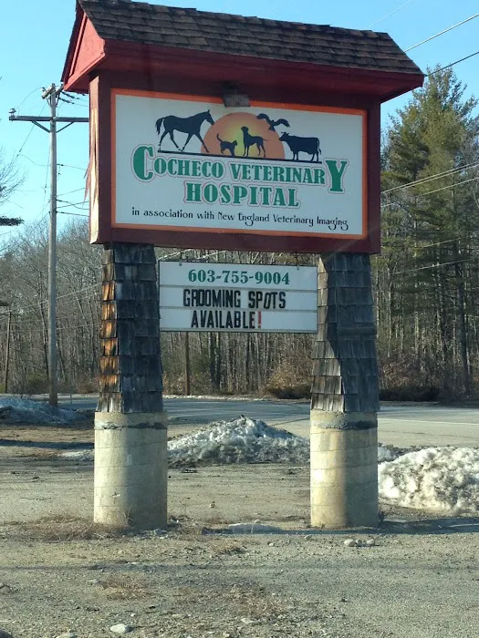 Cocheco Veterinary Hospital Picture 2
