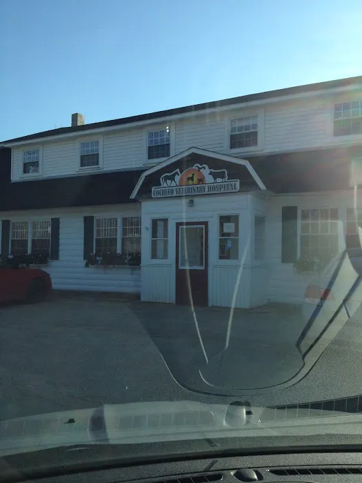 Cocheco Veterinary Hospital Picture 3