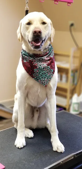 Cocheco Veterinary Hospital Picture 6