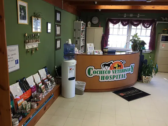 Cocheco Veterinary Hospital Picture 4