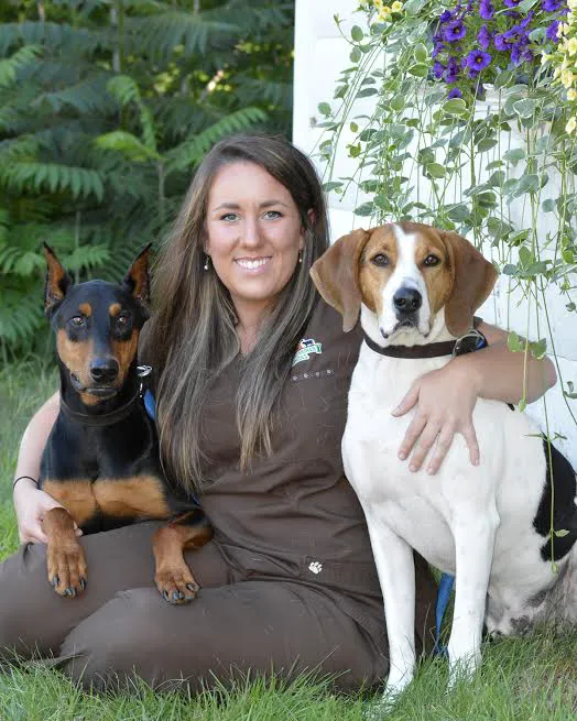Cocheco Veterinary Hospital Picture 8