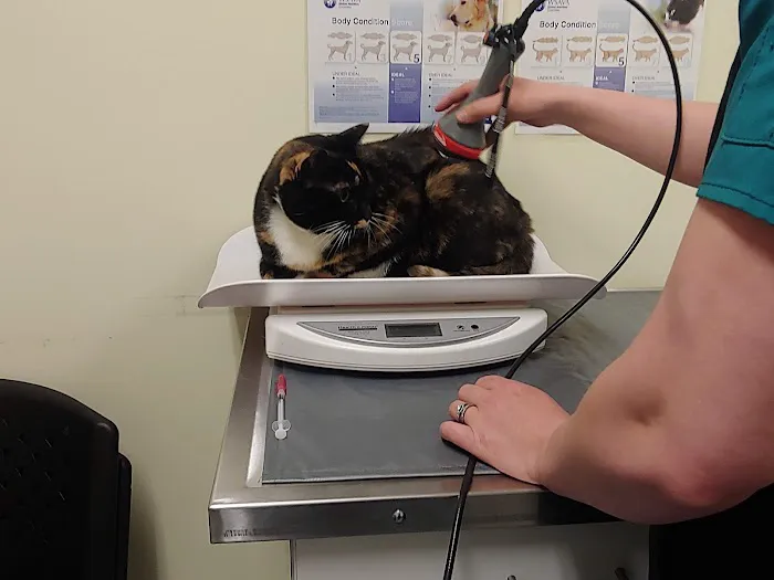 Suncook River Veterinary Clinic Picture 3