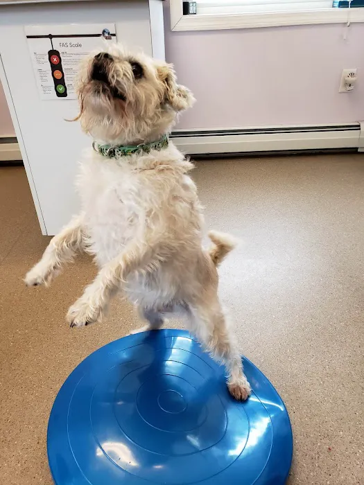 Suncook River Veterinary Clinic Picture 4