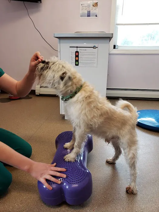 Suncook River Veterinary Clinic Picture 6