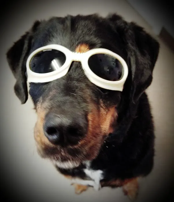 Suncook River Veterinary Clinic Picture 9