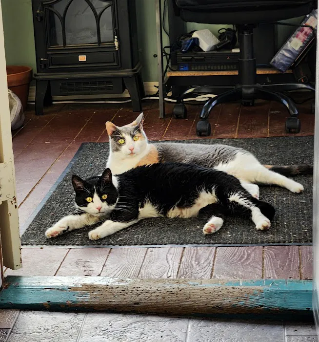Northwood Veterinary Hospital Picture 7