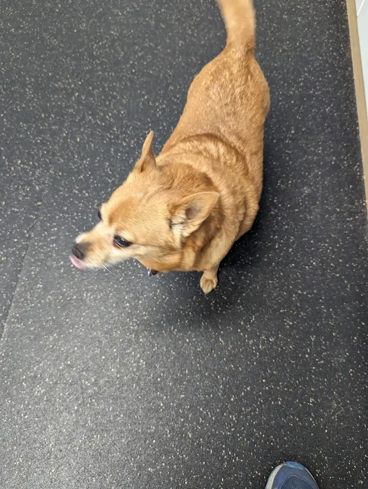Northwood Veterinary Hospital Picture 10