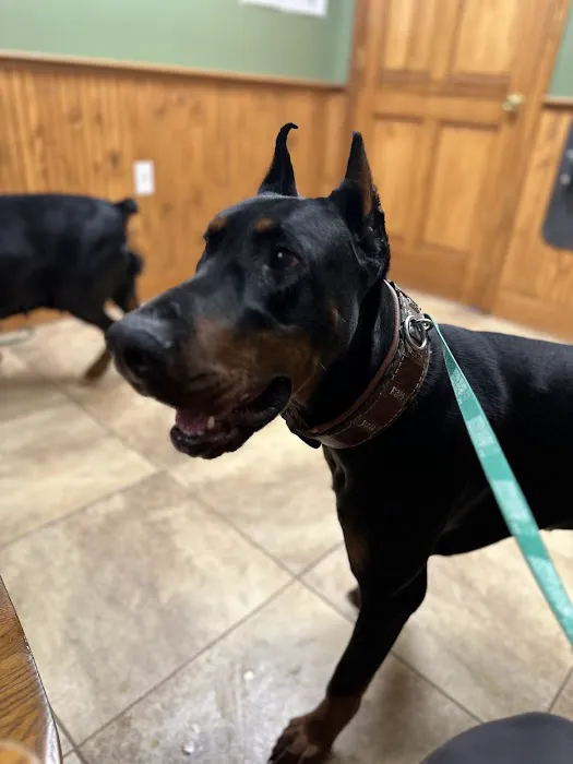 Deerfield Veterinary Clinic Picture 2