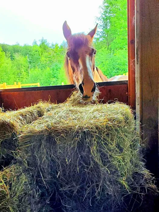 Deerfield Veterinary Clinic Picture 8