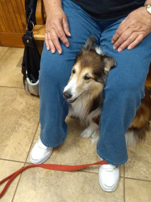 Deerfield Veterinary Clinic Picture 10