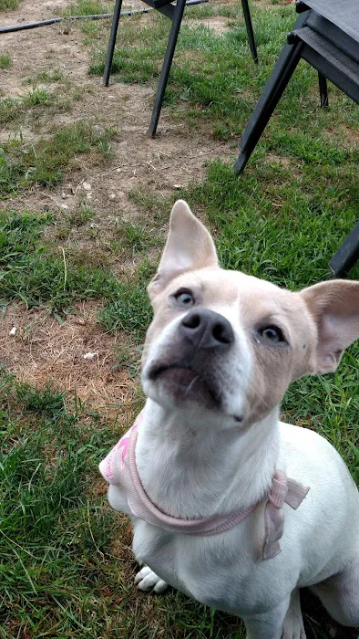 The Kindness Animal Hospital Picture 8