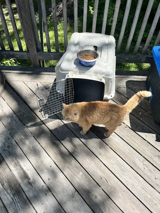 Rozzie May Animal Alliance Inc Picture 5