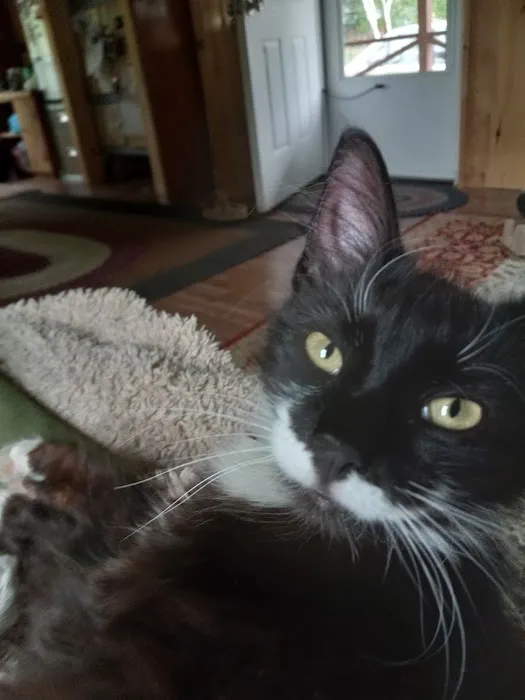 Rozzie May Animal Alliance Inc Picture 9