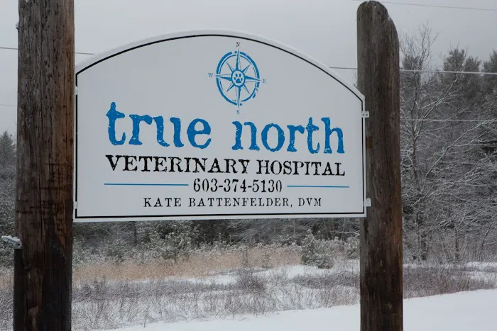 True North Veterinary Hospital Picture 1
