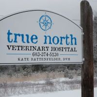True North Veterinary Hospital ico