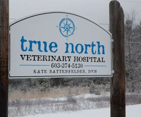 True North Veterinary Hospital