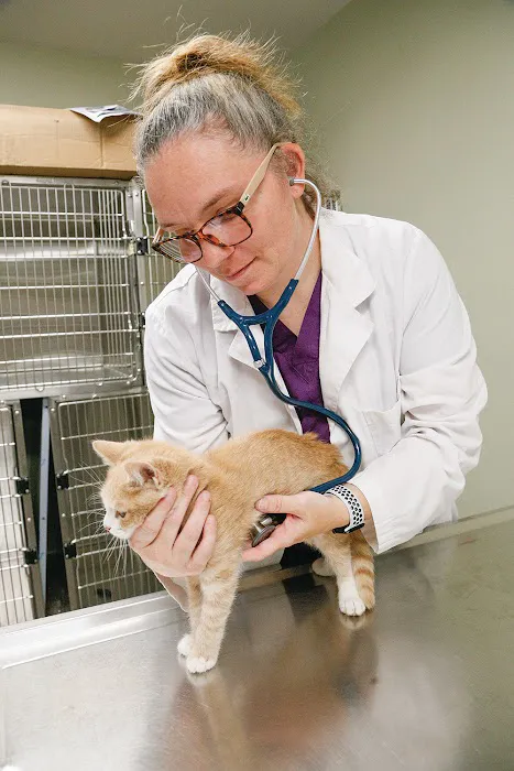 Valley Animal Hospital Conway, NH Picture 2