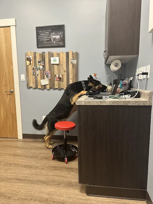 Conway Veterinary Hospital Picture 3