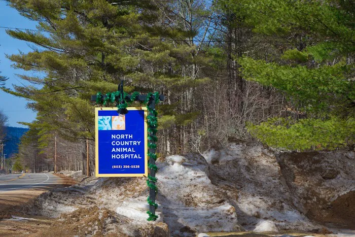 North Country Animal Hospital Picture 4