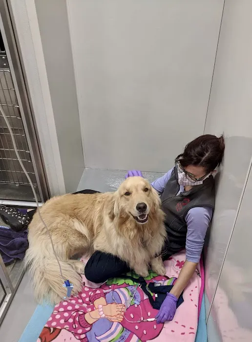 Veterinary Emergency Center of Manchester Picture 1