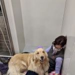 Veterinary Emergency Center of Manchester