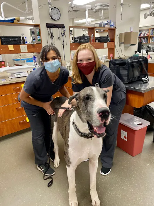 Veterinary Emergency Center of Manchester Picture 9