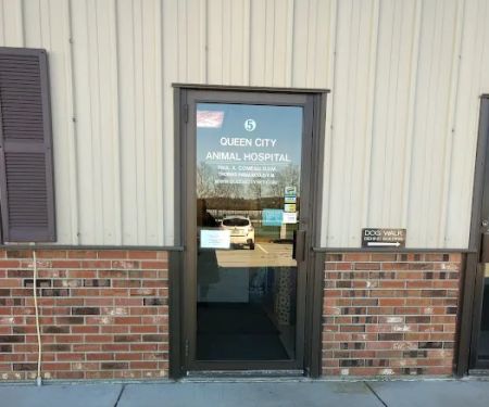 Queen City Animal Hospital