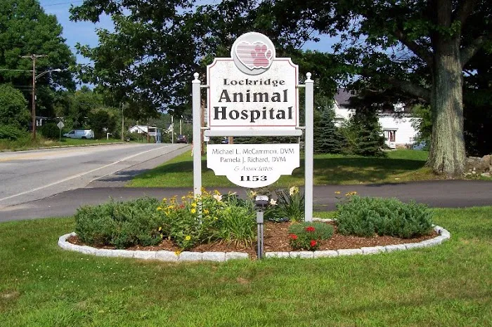 Lockridge Animal Hospital Picture 10